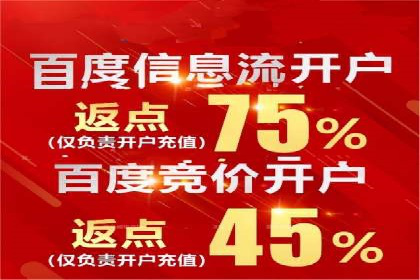 行业领先企业的SEM开户成功案例